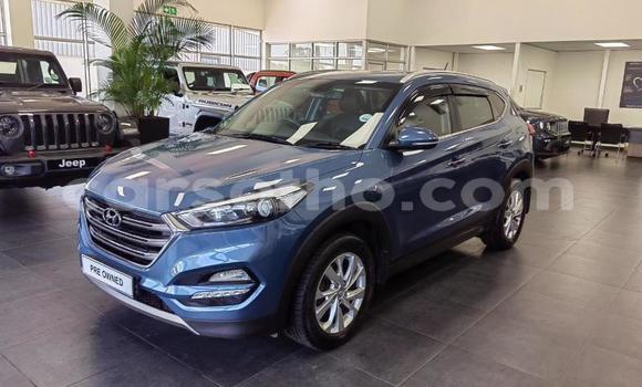 اشتري مستعمل Hyundai Tucson Blue سيارة في Maseru في Maseru اشتري مستعمل Hyundai Tucson Blue سيارة في Maseru في Maseru