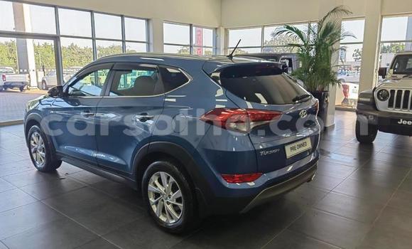 اشتري مستعمل Hyundai Tucson Blue سيارة في Maseru في Maseru اشتري مستعمل Hyundai Tucson Blue سيارة في Maseru في Maseru