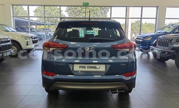 اشتري مستعمل Hyundai Tucson Blue سيارة في Maseru في Maseru اشتري مستعمل Hyundai Tucson Blue سيارة في Maseru في Maseru