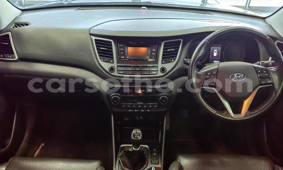 اشتري مستعمل Hyundai Tucson Blue سيارة في Maseru في Maseru اشتري مستعمل Hyundai Tucson Blue سيارة في Maseru في Maseru
