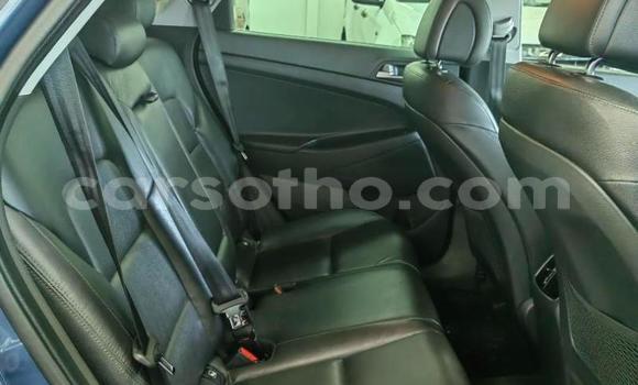 اشتري مستعمل Hyundai Tucson Blue سيارة في Maseru في Maseru اشتري مستعمل Hyundai Tucson Blue سيارة في Maseru في Maseru