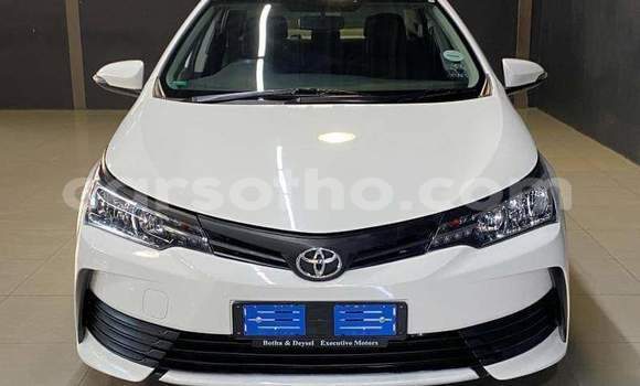 اشتري مستعمل Toyota Corolla White سيارة في Maseru في Maseru