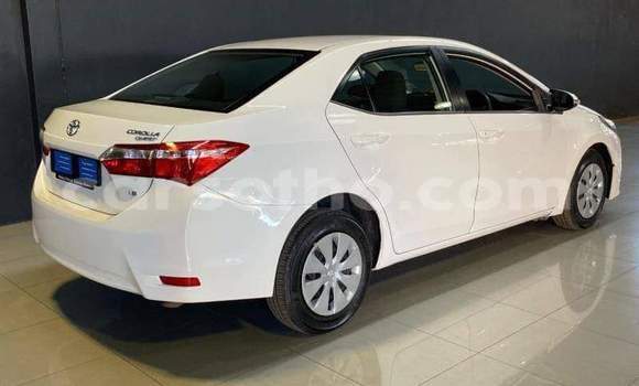 Sayi Na hannu Toyota Corolla White Mota in Maseru a Maseru Sayi Na hannu Toyota Corolla White Mota in Maseru a Maseru