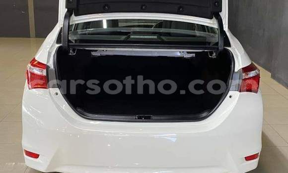 Sayi Na hannu Toyota Corolla White Mota in Maseru a Maseru Sayi Na hannu Toyota Corolla White Mota in Maseru a Maseru
