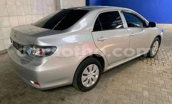 Sayi Na hannu Toyota Corolla Other Mota in Maseru a Maseru Sayi Na hannu Toyota Corolla Other Mota in Maseru a Maseru