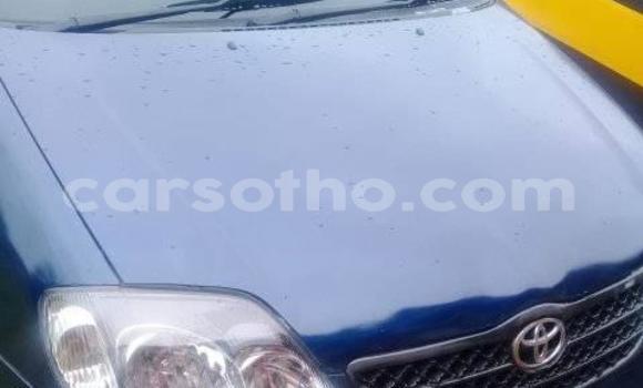 Buy Used Toyota Corolla Black Car in Maseru in Maseru