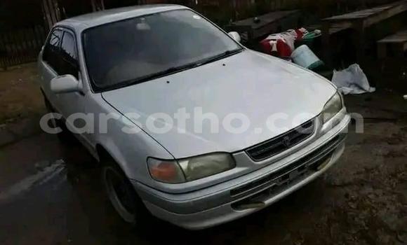 Buy Used Toyota Sai Other Car in Maseru in Maseru