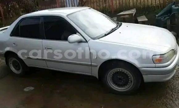 Acheter Occasion Voiture Toyota Sai Autre à Maseru, Maseru Acheter Occasion Voiture Toyota Sai Autre à Maseru, Maseru