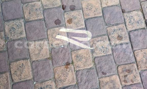 اشتري مستعمل Volkswagen Tiguan Blue سيارة في Maseru في Maseru اشتري مستعمل Volkswagen Tiguan Blue سيارة في Maseru في Maseru