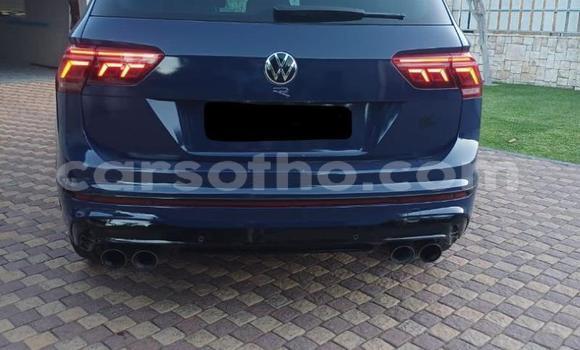 اشتري مستعمل Volkswagen Tiguan Blue سيارة في Maseru في Maseru اشتري مستعمل Volkswagen Tiguan Blue سيارة في Maseru في Maseru