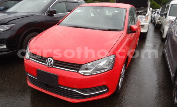اشتري مستعمل Volkswagen Polo Red سيارة في Maseru في Maseru
