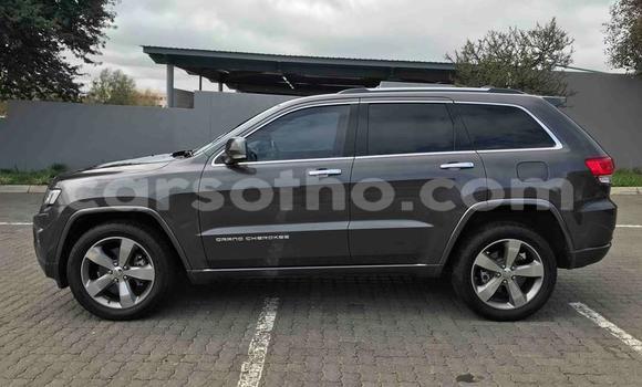اشتري مستعمل Jeep Cherokee Black سيارة في Maseru في Maseru اشتري مستعمل Jeep Cherokee Black سيارة في Maseru في Maseru