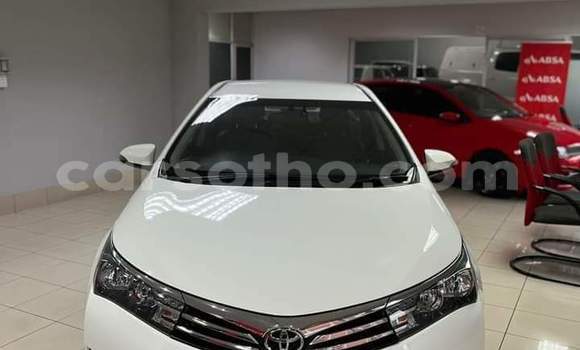 Buy Used Toyota Corolla White Car in Maseru in Maseru