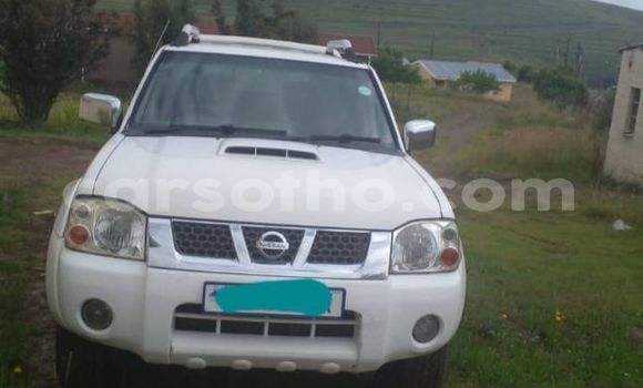 Buy Used Nissan Hardbody White Car in Maputsoe in Leribe Buy Used Nissan Hardbody White Car in Maputsoe in Leribe