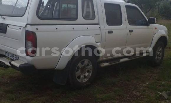 Acheter Occasion Voiture Nissan Hardbody Blanc à Maputsoe, Leribe Acheter Occasion Voiture Nissan Hardbody Blanc à Maputsoe, Leribe