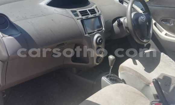 اشتري مستعمل Toyota Vitz Other سيارة في Maputsoa في Leribe اشتري مستعمل Toyota Vitz Other سيارة في Maputsoa في Leribe