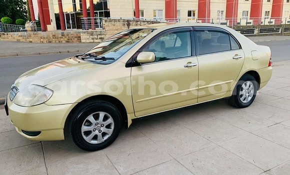 اشتري مستعمل Toyota Corolla Other سيارة في Mafeteng في Mafeteng اشتري مستعمل Toyota Corolla Other سيارة في Mafeteng في Mafeteng