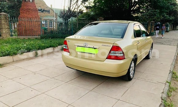 اشتري مستعمل Toyota Corolla Other سيارة في Mafeteng في Mafeteng اشتري مستعمل Toyota Corolla Other سيارة في Mafeteng في Mafeteng