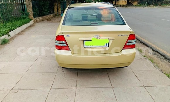 اشتري مستعمل Toyota Corolla Other سيارة في Mafeteng في Mafeteng اشتري مستعمل Toyota Corolla Other سيارة في Mafeteng في Mafeteng
