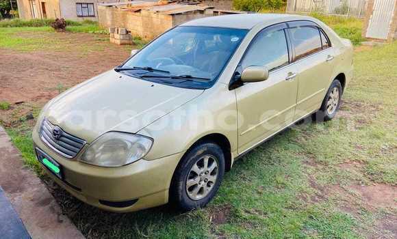 Cars for sale in lesotho - carsotho