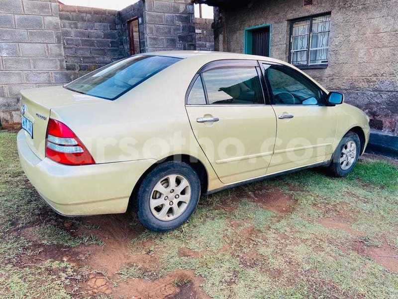 Big with watermark toyota corolla mafeteng mafeteng 27031