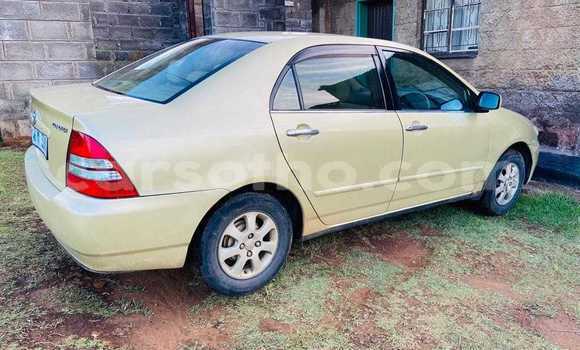 اشتري مستعمل Toyota Corolla Other سيارة في Mafeteng في Mafeteng اشتري مستعمل Toyota Corolla Other سيارة في Mafeteng في Mafeteng