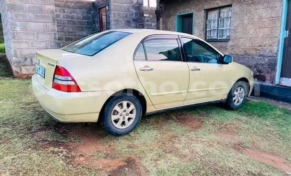 اشتري مستعمل Toyota Corolla Other سيارة في Mafeteng في Mafeteng اشتري مستعمل Toyota Corolla Other سيارة في Mafeteng في Mafeteng