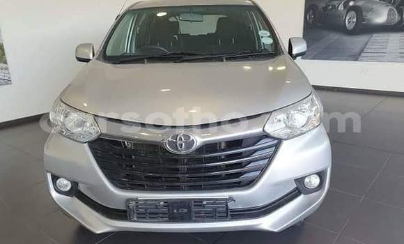 Buy Used Toyota Avanza Beige Car in Maseru in Maseru