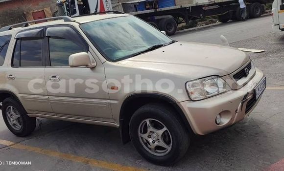 Buy Used Honda CR–V Other Car in Maputsoa in Leribe Buy Used Honda CR–V Other Car in Maputsoa in Leribe