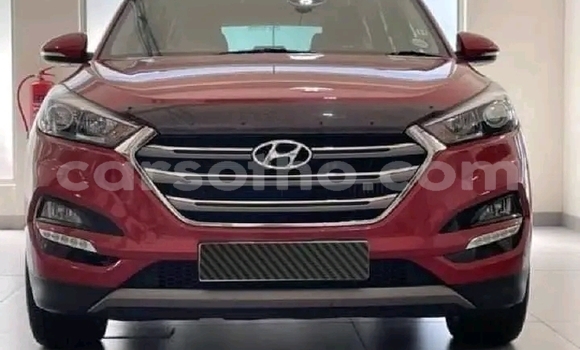Acheter Occasion Voiture Hyundai Tucson Rouge à Maseru, Maseru