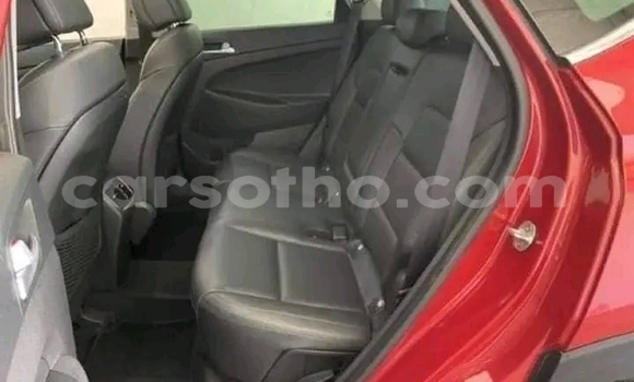 Acheter Occasion Voiture Hyundai Tucson Rouge à Maseru, Maseru Acheter Occasion Voiture Hyundai Tucson Rouge à Maseru, Maseru
