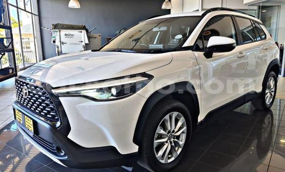 Buy Used Toyota Corolla Cross White Car in Maseru in Maseru