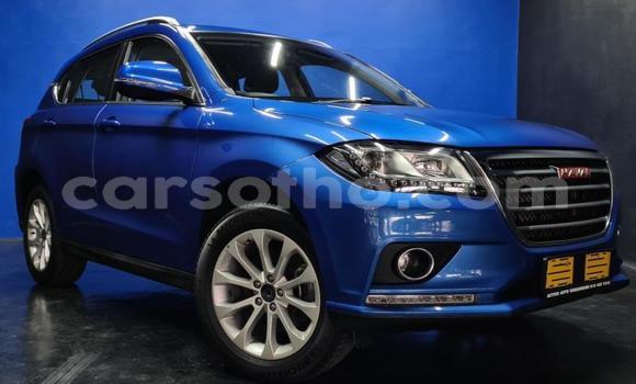 Sayi Na hannu Haval H2 Blue Mota in Maseru a Maseru Sayi Na hannu Haval H2 Blue Mota in Maseru a Maseru