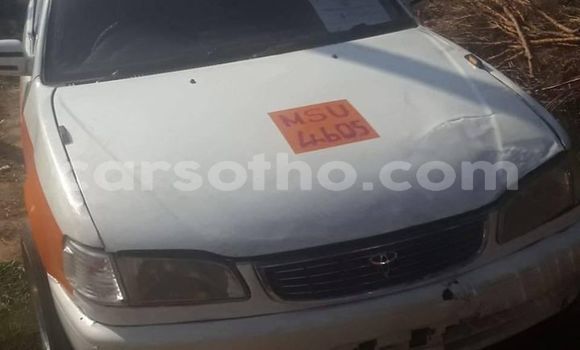 Buy Used Renault Samsung QM5 Other Car in Maseru in Maseru Buy Used Renault Samsung QM5 Other Car in Maseru in Maseru