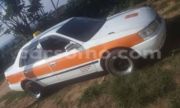 Acheter Occasion Voiture Renault Samsung QM5 Autre à Maseru, Maseru Acheter Occasion Voiture Renault Samsung QM5 Autre à Maseru, Maseru