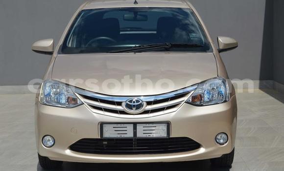 اشتري مستعمل Toyota Etios Other سيارة في Maseru في Maseru
