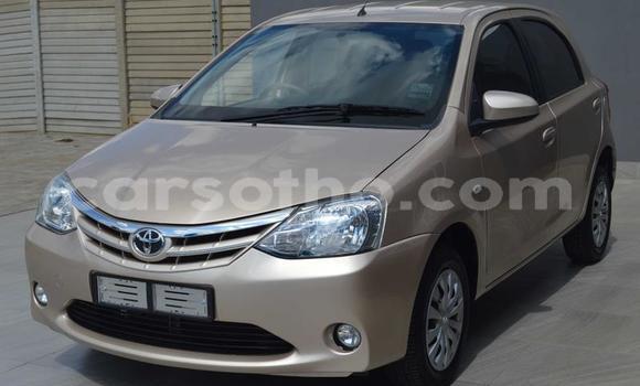 Sayi Na hannu Toyota Etios Other Mota in Maseru a Maseru Sayi Na hannu Toyota Etios Other Mota in Maseru a Maseru