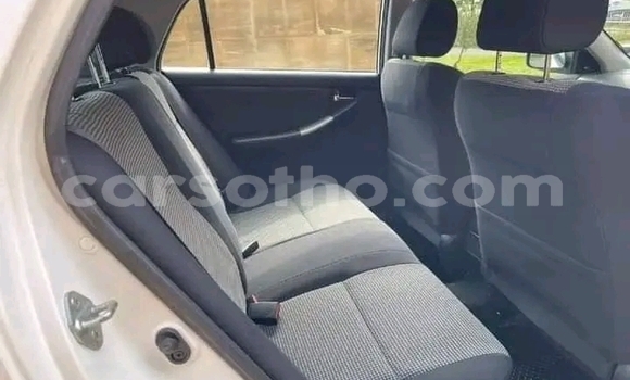 Sayi Na hannu Toyota Runx White Mota in Maseru a Maseru Sayi Na hannu Toyota Runx White Mota in Maseru a Maseru