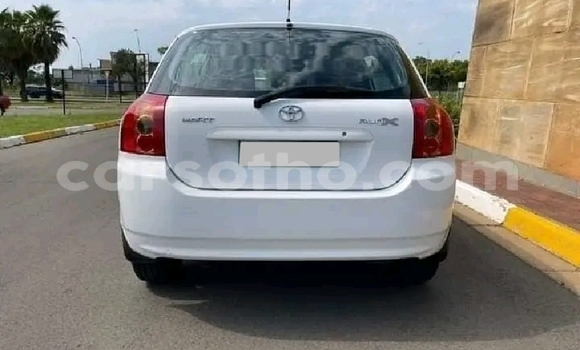 Sayi Na hannu Toyota Runx White Mota in Maseru a Maseru Sayi Na hannu Toyota Runx White Mota in Maseru a Maseru