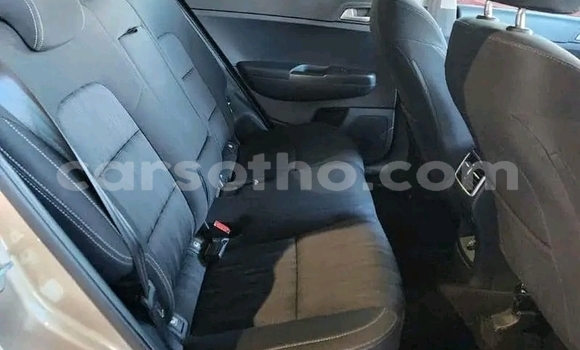 Acheter Occasion Voiture Ford EcoSport Autre à Maseru, Maseru Acheter Occasion Voiture Ford EcoSport Autre à Maseru, Maseru