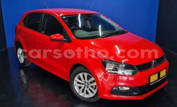 اشتري مستعمل Volkswagen Polo Red سيارة في Maseru في Maseru