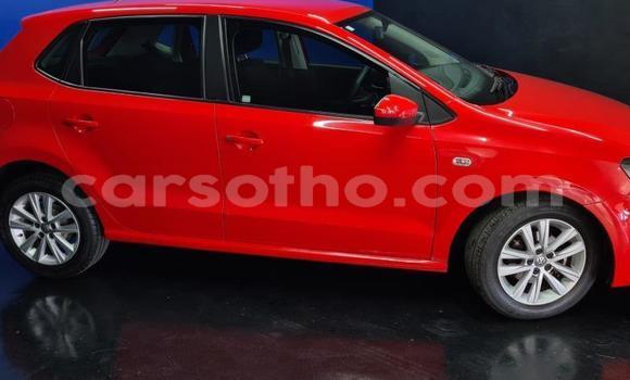 اشتري مستعمل Volkswagen Polo Red سيارة في Maseru في Maseru اشتري مستعمل Volkswagen Polo Red سيارة في Maseru في Maseru
