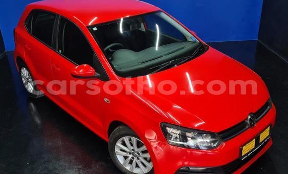 اشتري مستعمل Volkswagen Polo Red سيارة في Maseru في Maseru اشتري مستعمل Volkswagen Polo Red سيارة في Maseru في Maseru