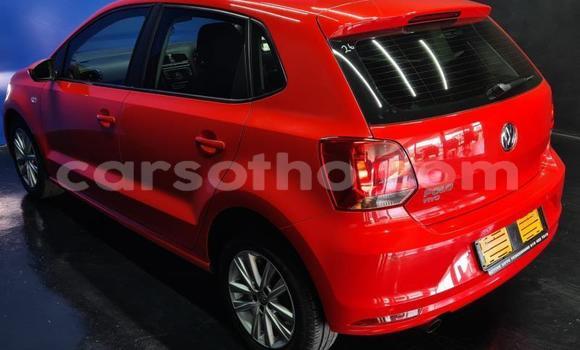 اشتري مستعمل Volkswagen Polo Red سيارة في Maseru في Maseru اشتري مستعمل Volkswagen Polo Red سيارة في Maseru في Maseru