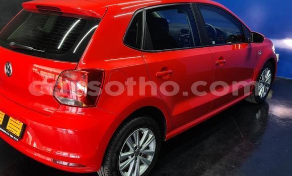 اشتري مستعمل Volkswagen Polo Red سيارة في Maseru في Maseru اشتري مستعمل Volkswagen Polo Red سيارة في Maseru في Maseru