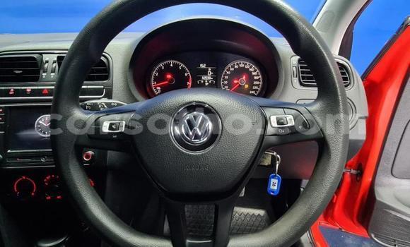 اشتري مستعمل Volkswagen Polo Red سيارة في Maseru في Maseru اشتري مستعمل Volkswagen Polo Red سيارة في Maseru في Maseru