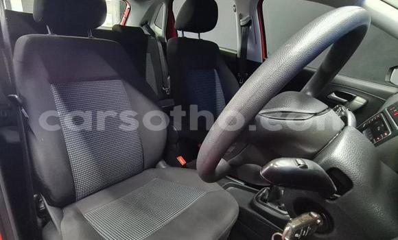 اشتري مستعمل Volkswagen Polo Red سيارة في Maseru في Maseru اشتري مستعمل Volkswagen Polo Red سيارة في Maseru في Maseru