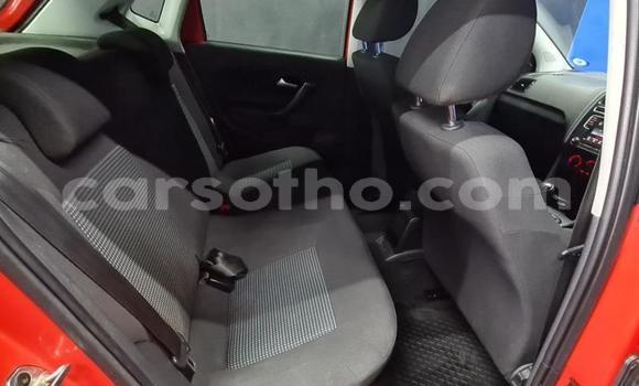 اشتري مستعمل Volkswagen Polo Red سيارة في Maseru في Maseru اشتري مستعمل Volkswagen Polo Red سيارة في Maseru في Maseru