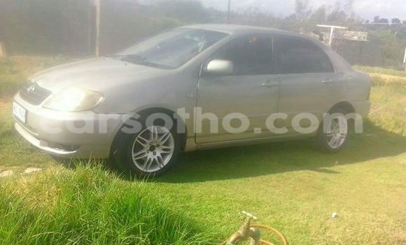 Sayi Na hannu Toyota Corolla Silver Mota in Maseru a Maseru