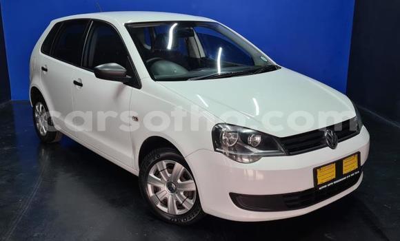 Acheter Occasion Voiture Volkswagen Polo Blanc à Maseru, Maseru Acheter Occasion Voiture Volkswagen Polo Blanc à Maseru, Maseru